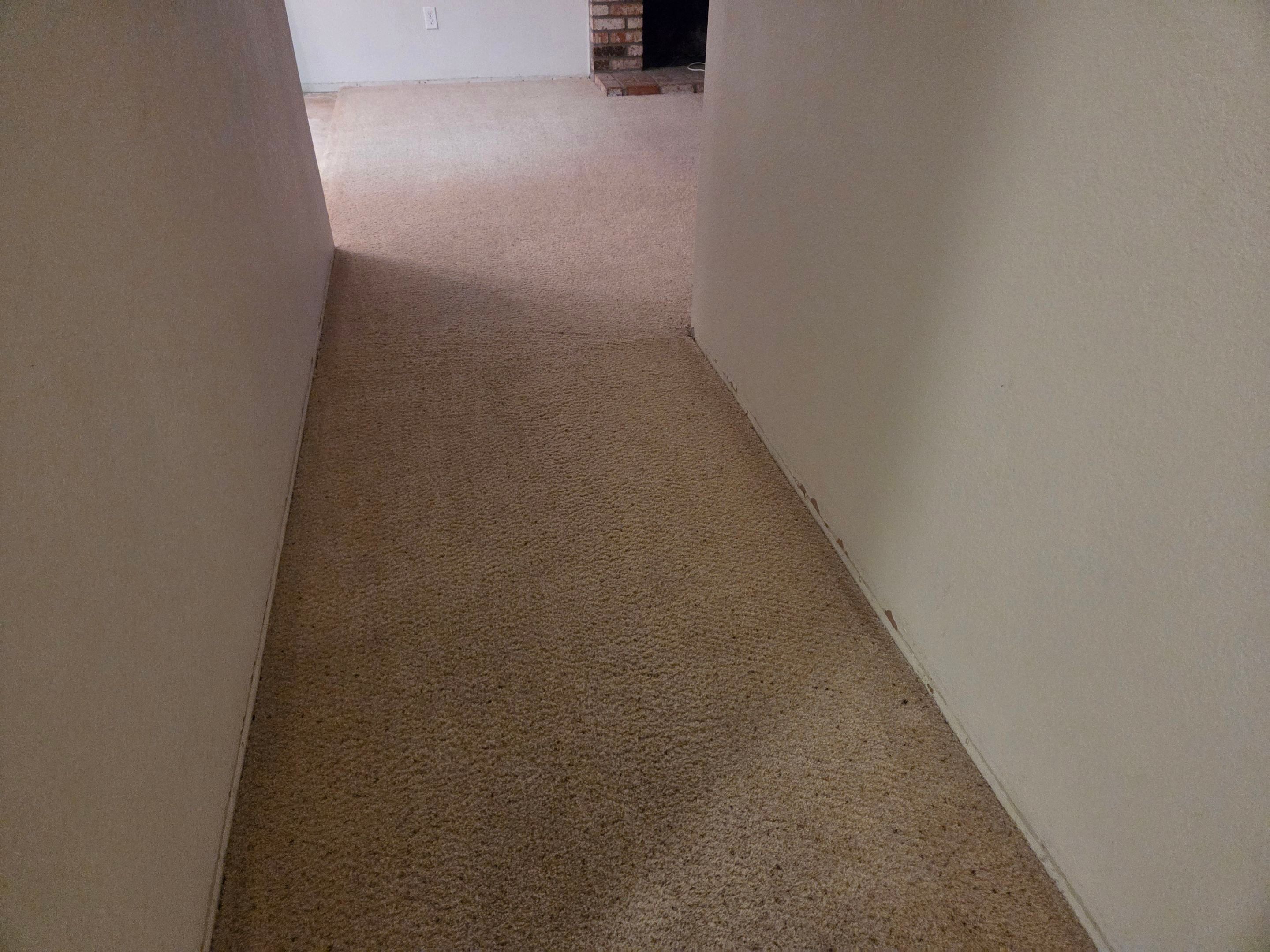 Carpet Re-stretching & Cleaning in Rosemont by Ardent Carpet Restore LLC