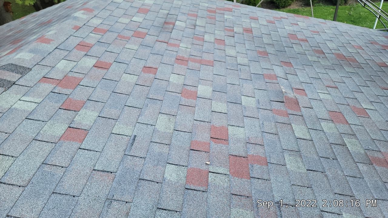 ATLAS PINNACLE COLOR: MORNING HARVEST DRIPE EDGE: WHITE by Eagle Eye Roofing