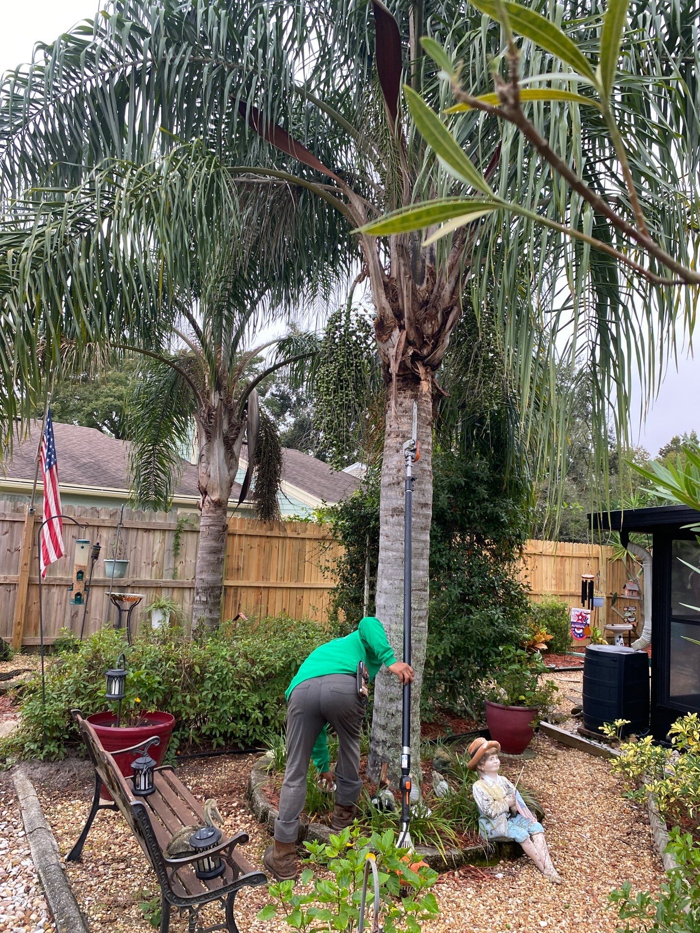 Tree Trimming | Residential by ProGreen Services
