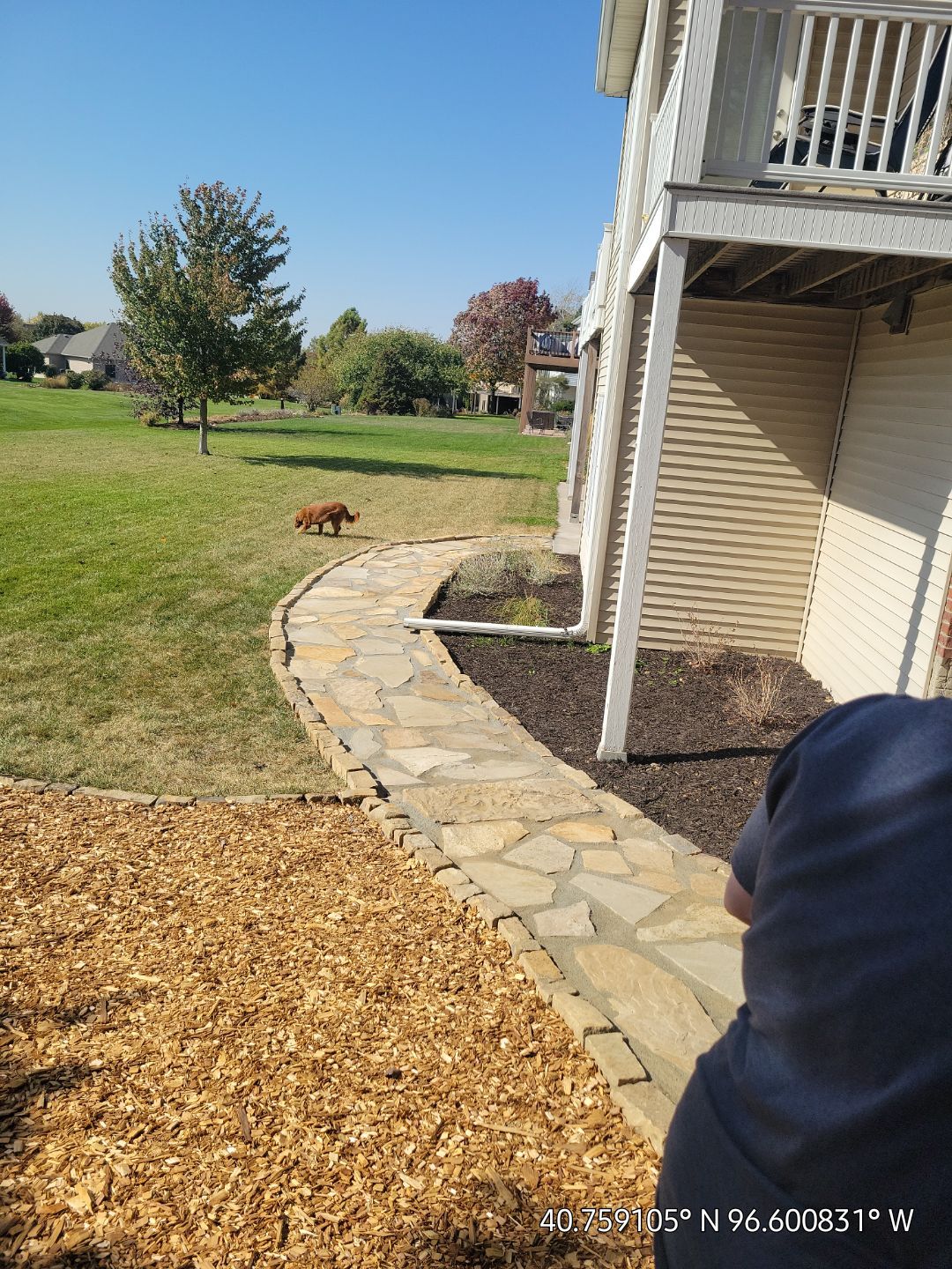 Updated Stone Stepper Path by New Horizon Landscapes