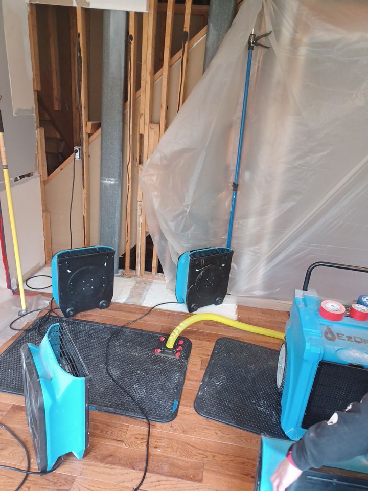 Project in Brighton by EzDry Water Mitigation & Property Restoration