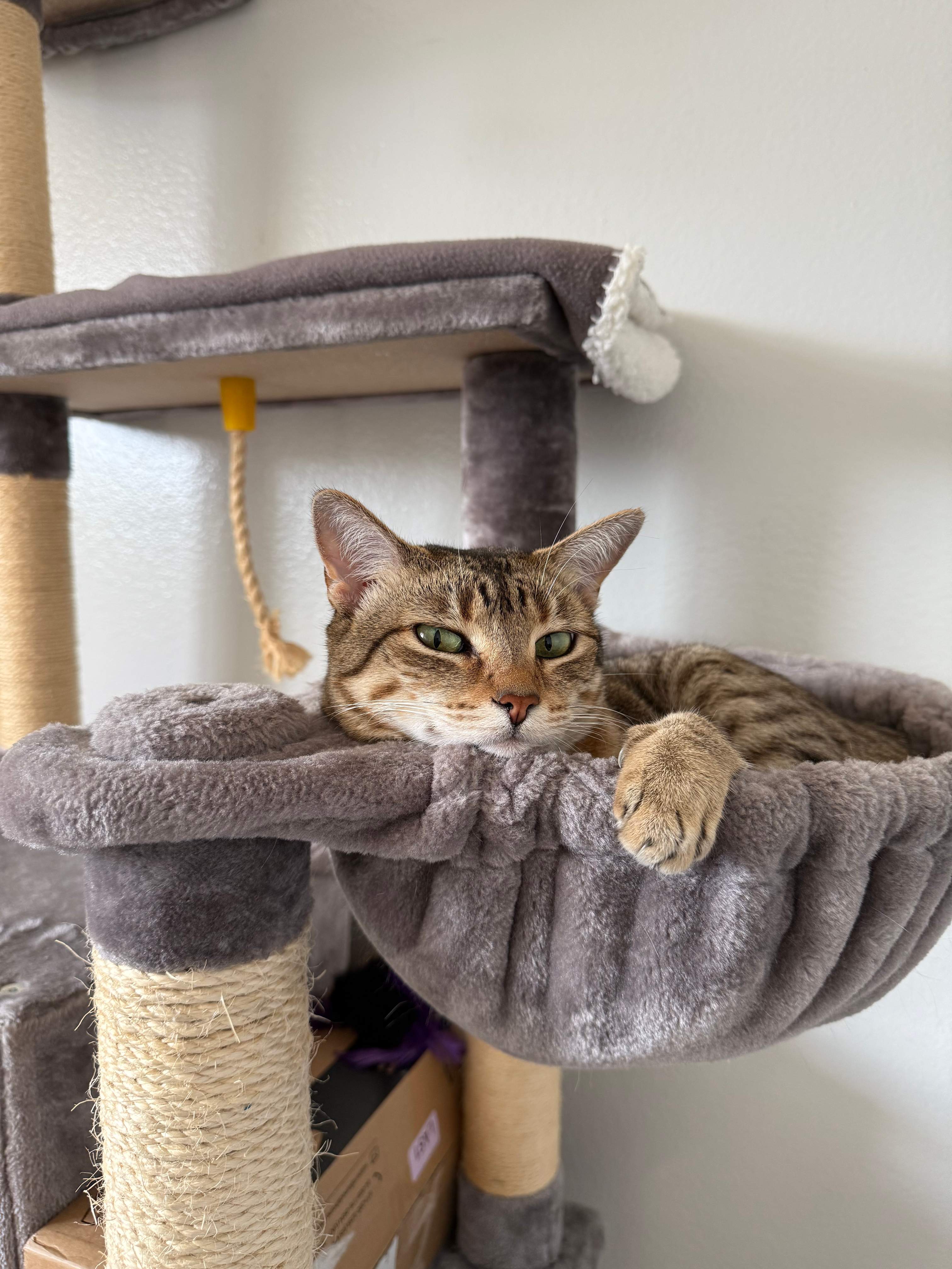 CompanyCam1 featured photo.