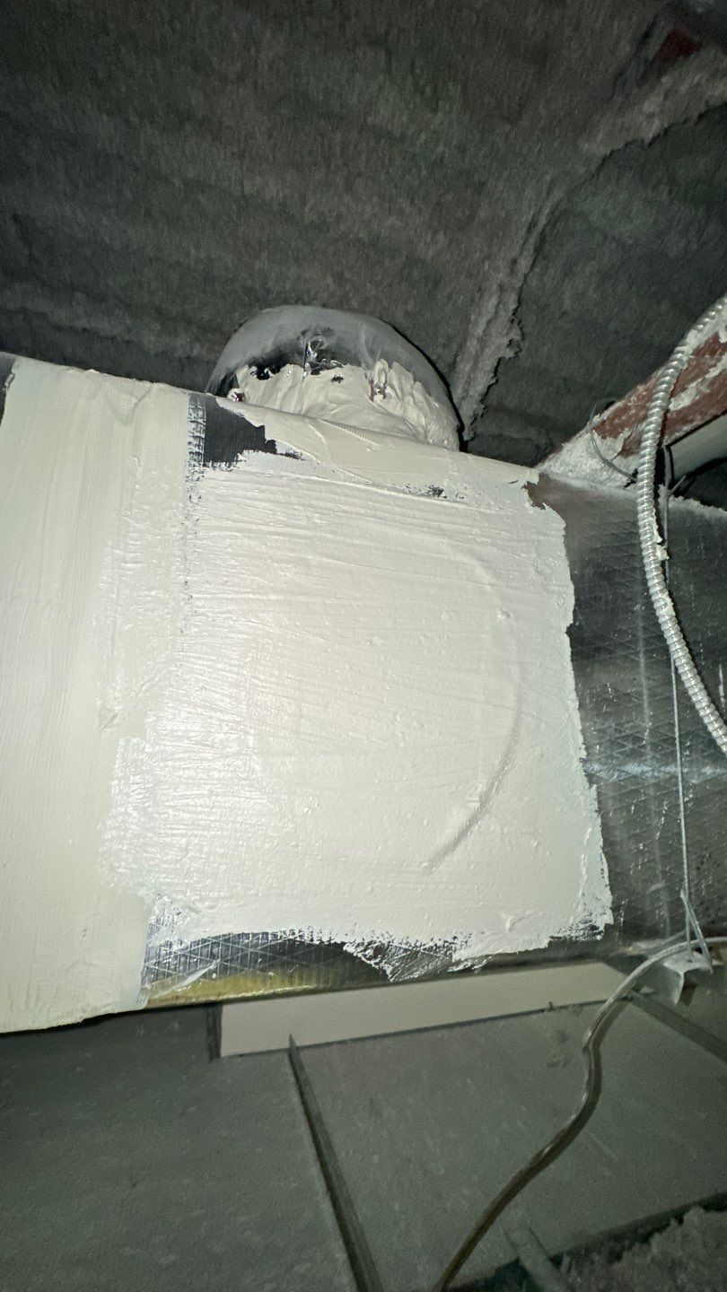 Commercial Air Duct Cleaning in Lake Mary by Hygienic Air, Inc