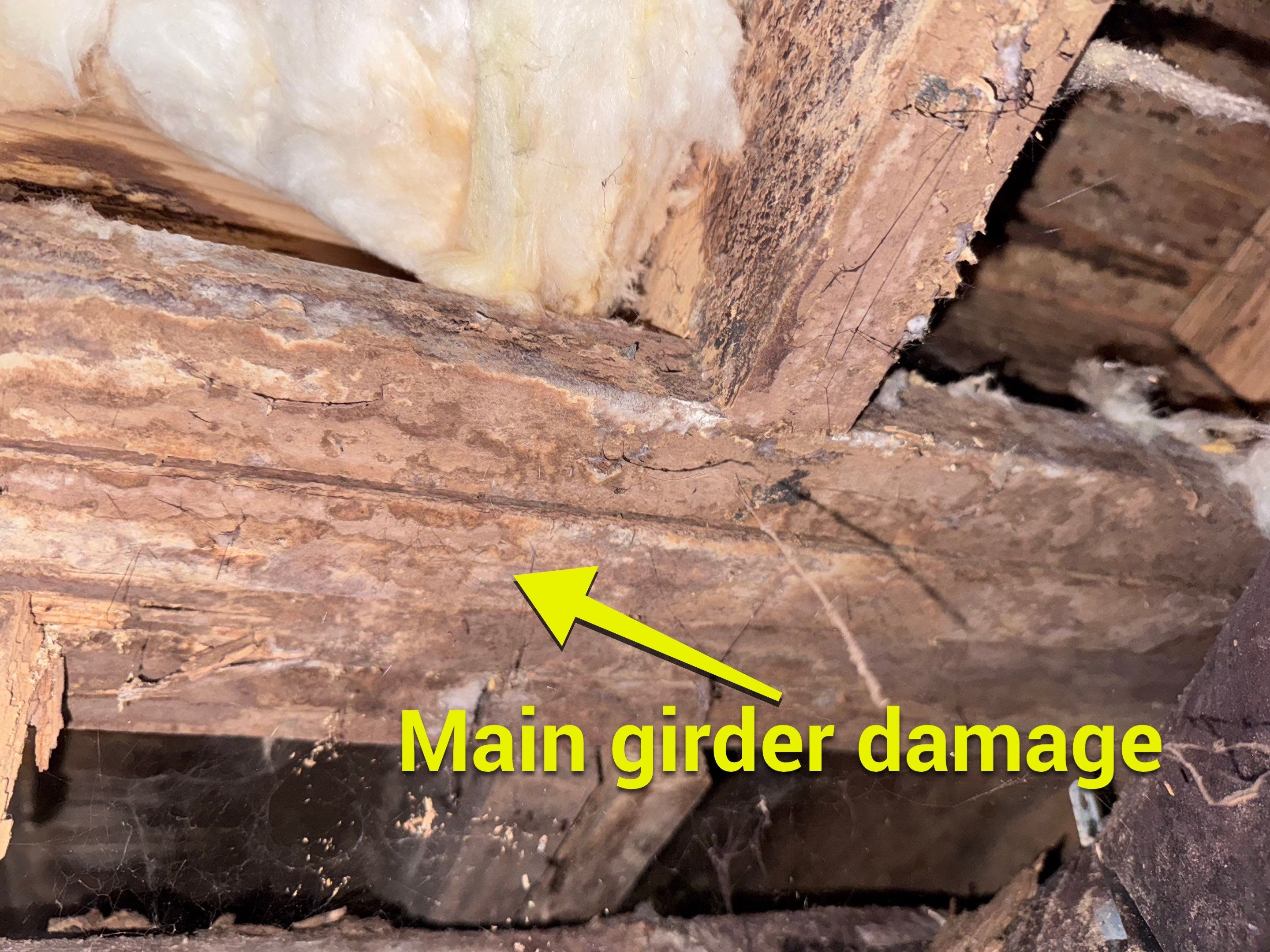 Structural Repairs inludiing sub-floor removal, new floor joists installed, girder replacmeent and dropped girder installed. by Impact Crawlspace