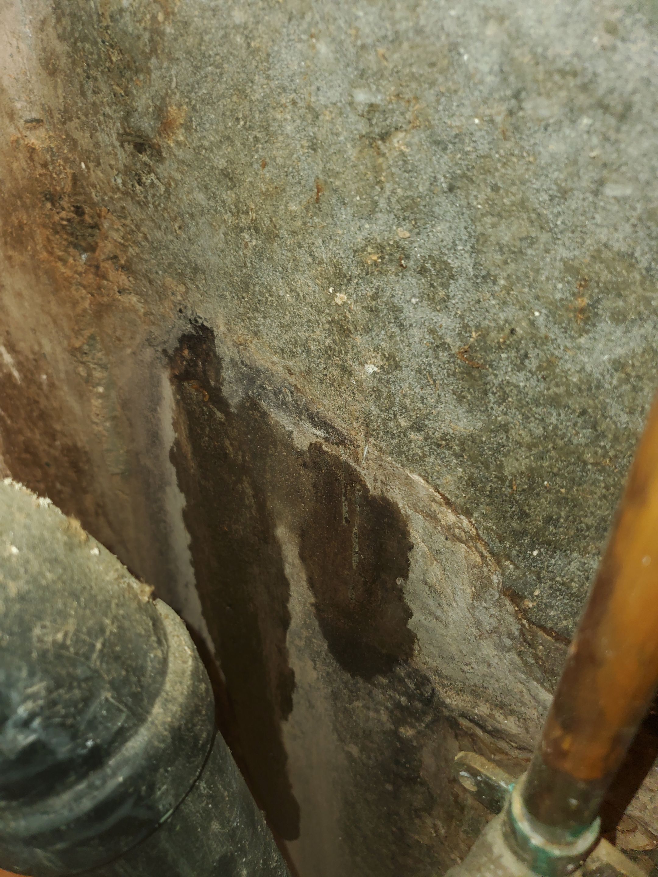 Water Damage using Air Movers by Construction Now LLC