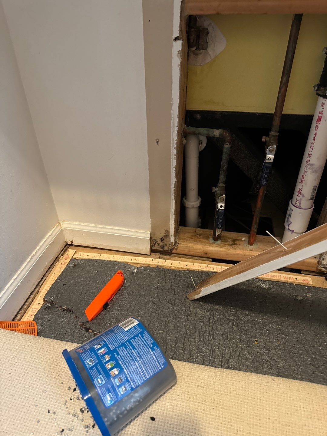 Project in Novi by EzDry Water Mitigation & Property Restoration