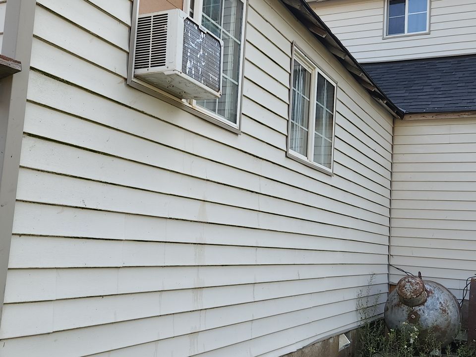 Black Mold Removal using Biocide by Willamette Outdoor Wash LLC