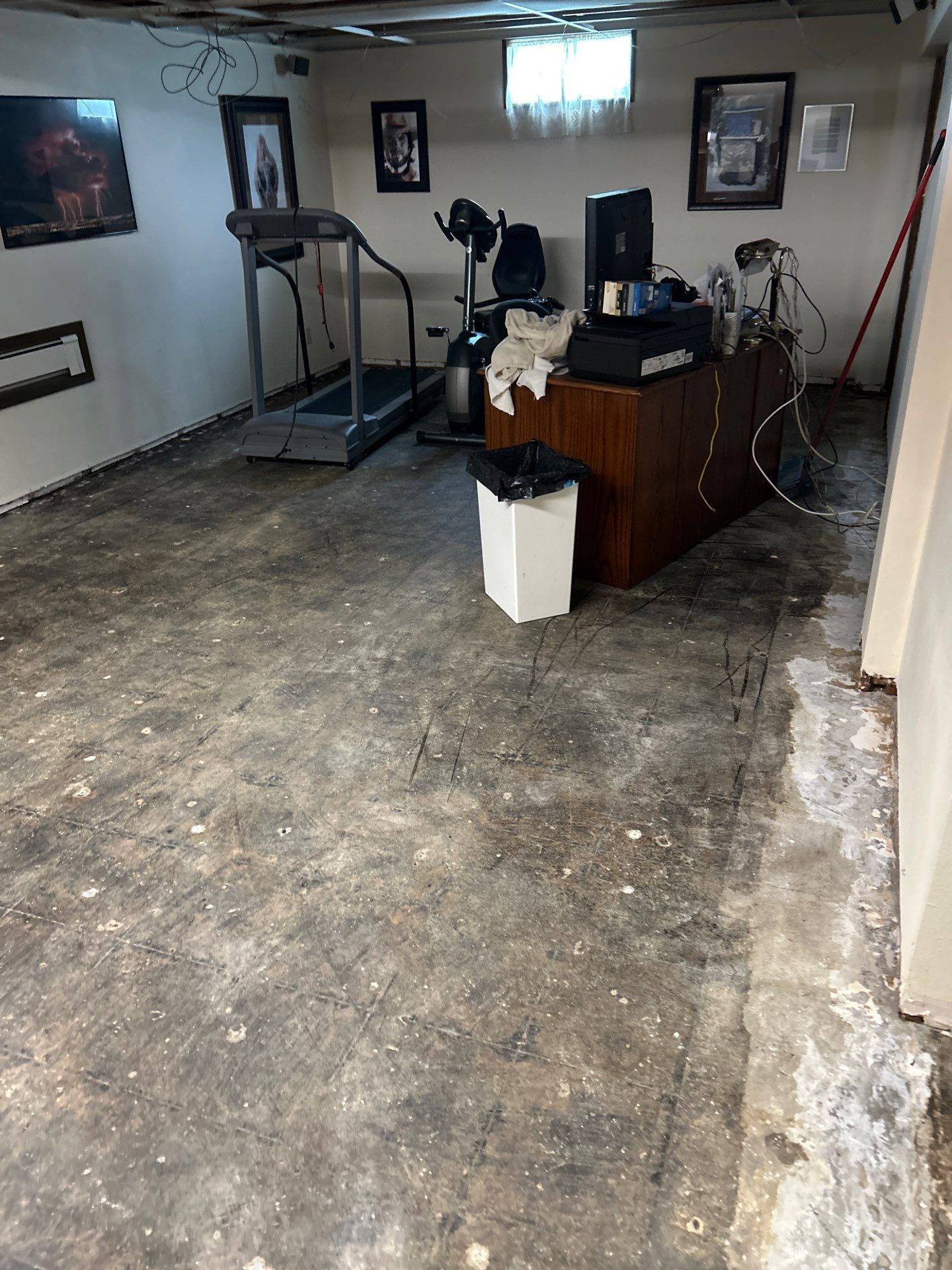 Basement Concrete Floor Coating and Restoration in Boone by Revival Concrete Coatings