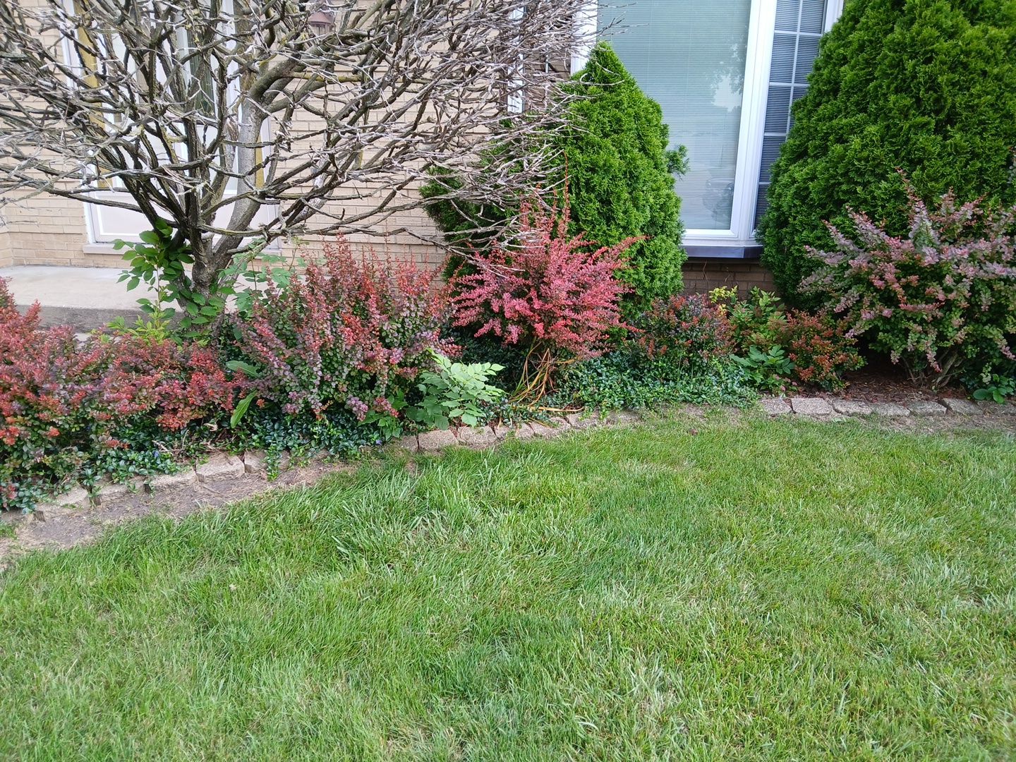 Andrew L. - Arlington Heights, IL by A&N