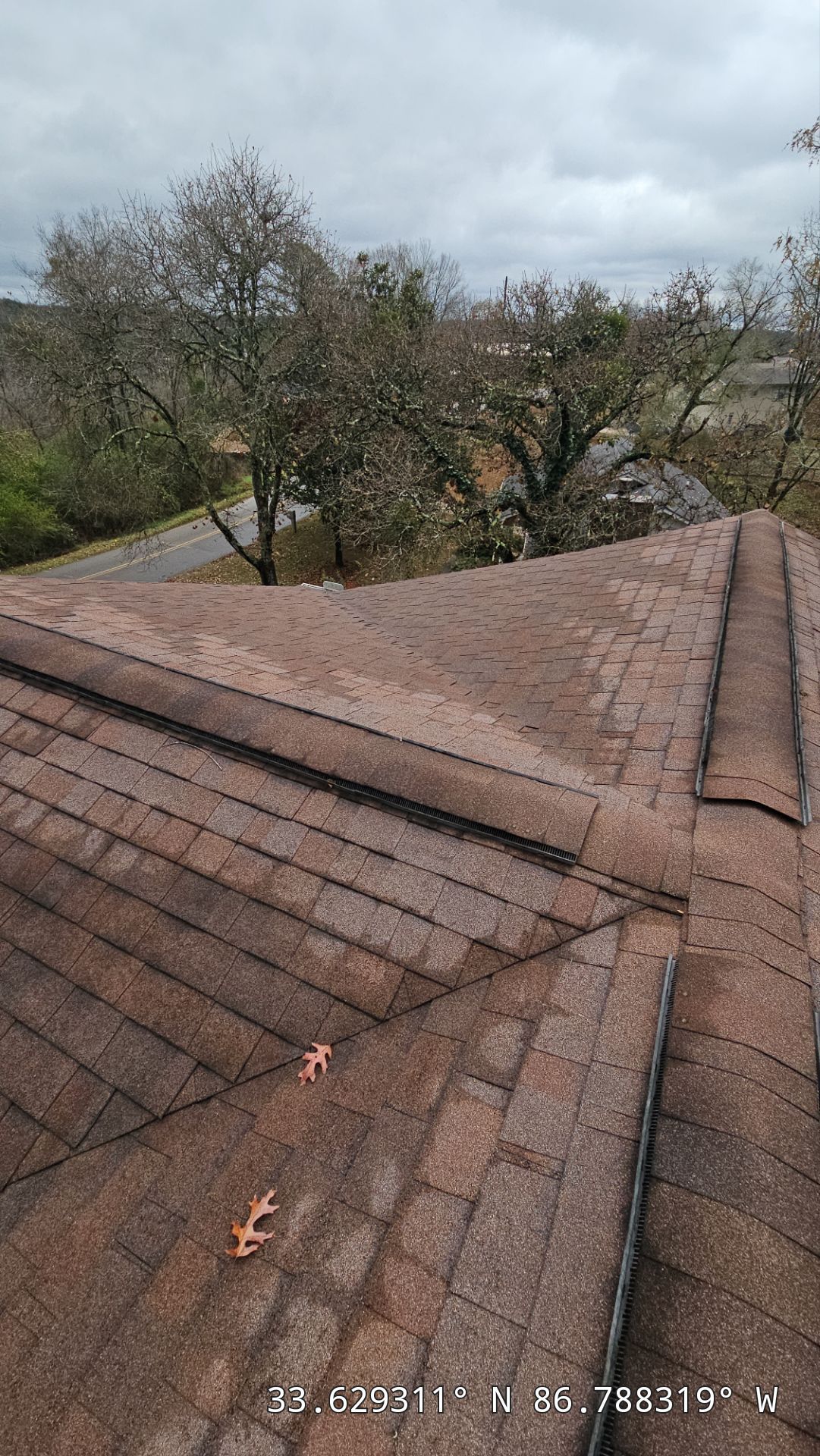Roof Replacement (Barkwood) and Tree Removal in Birmingham  by The Roofing Dudes