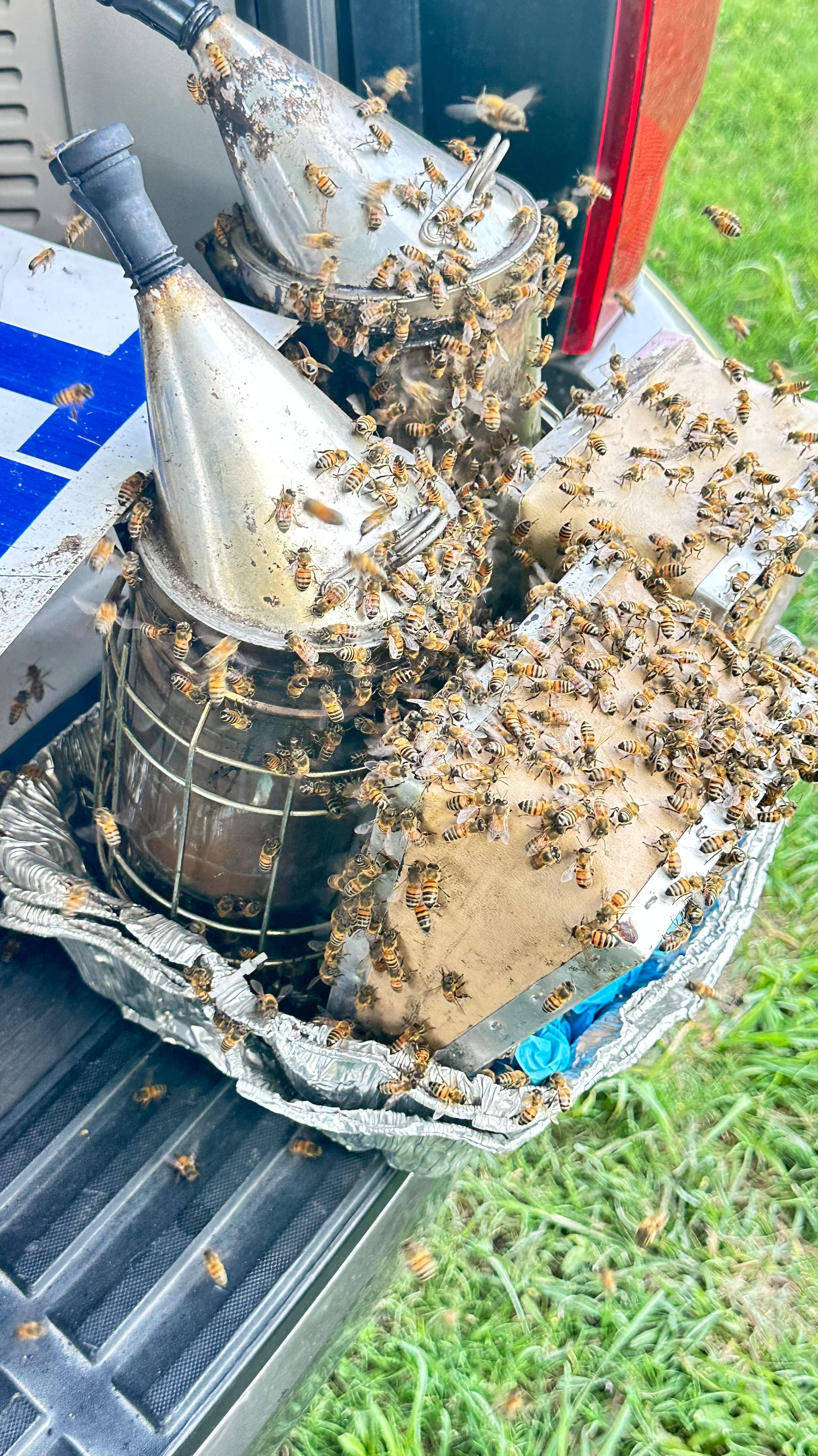 Irrigation Box by Rockwall Honey Bee Company