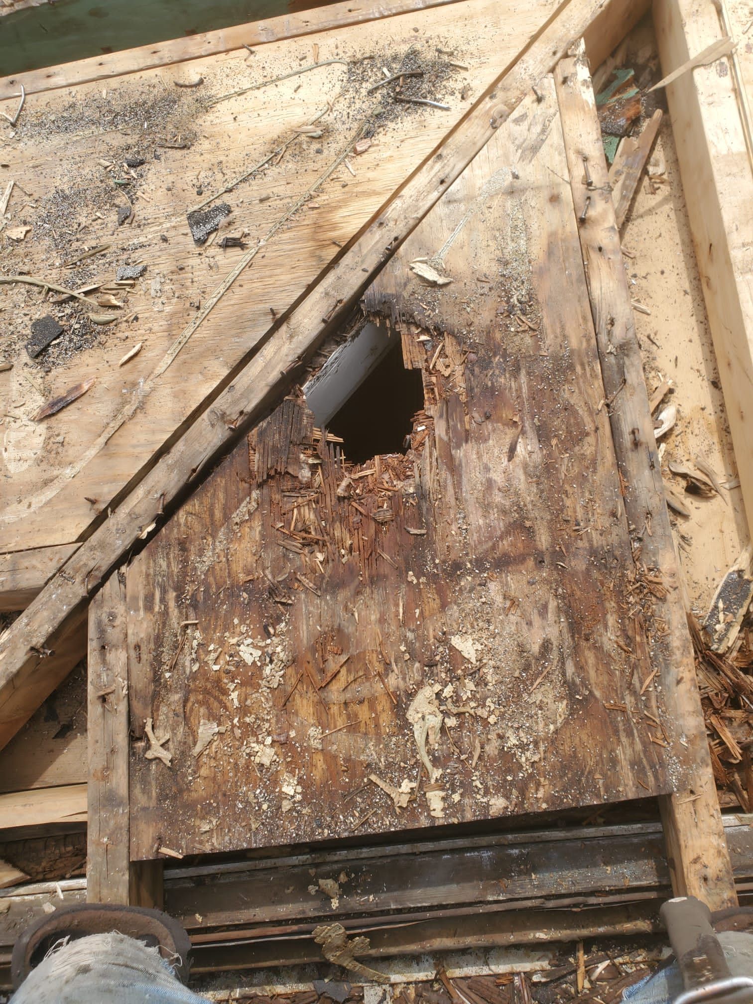 Project in Edgewater  by ExteriorPros