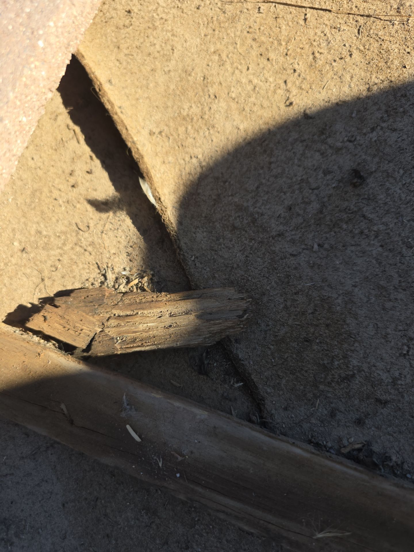 Gold Canyon Tile Reset by Weather-Tite Roofing