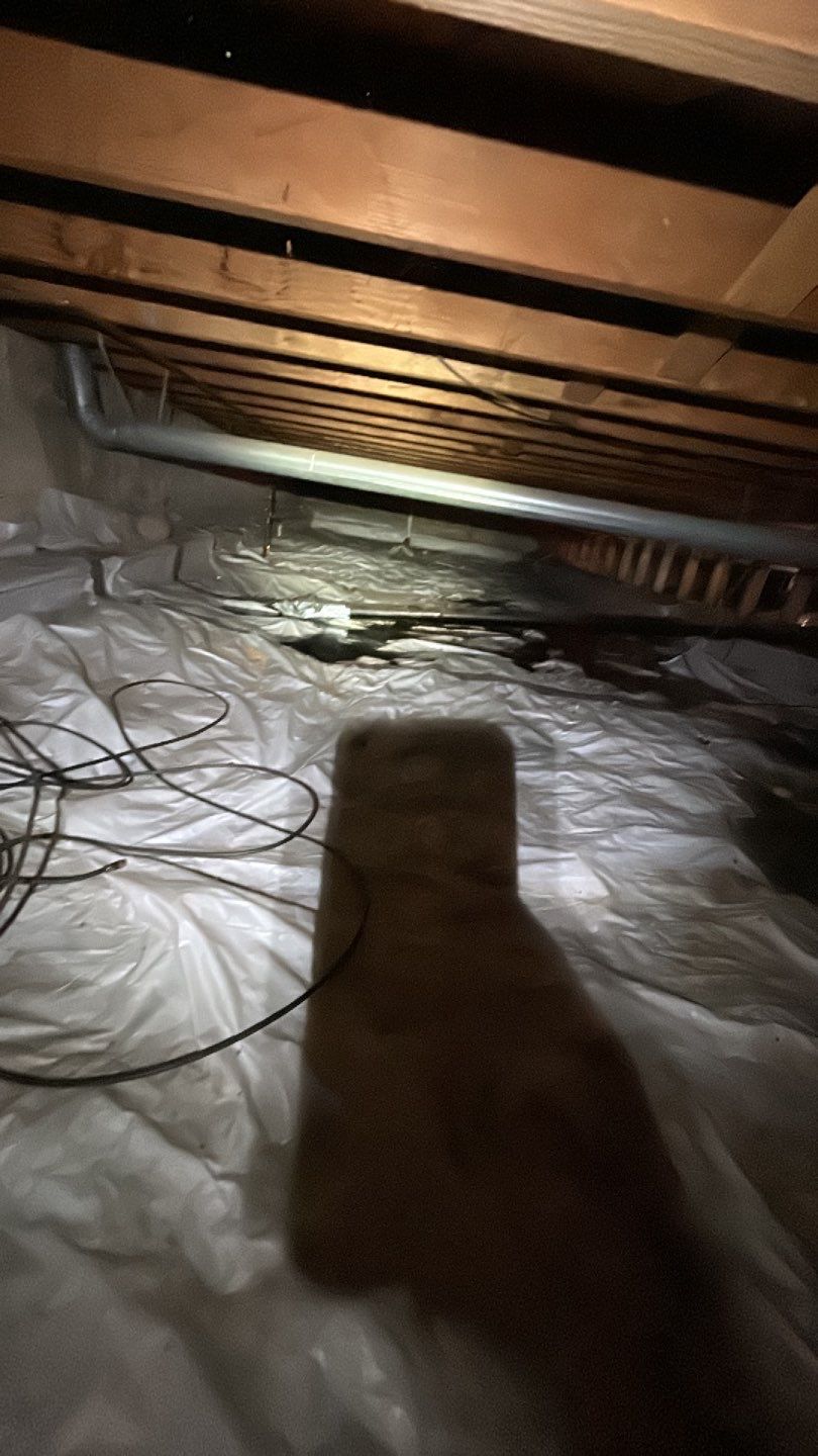 Sewage Backup by Accountable Home Services