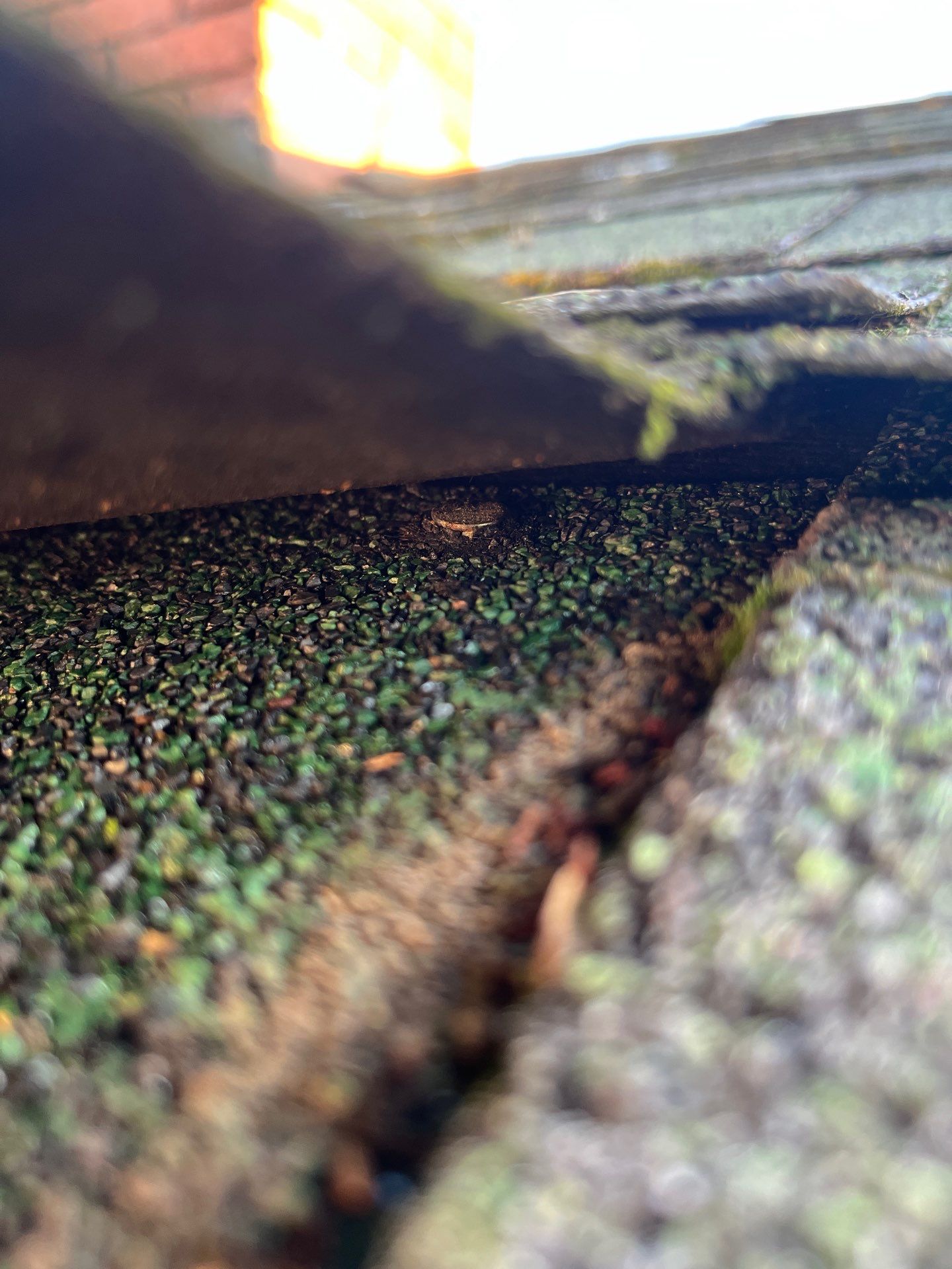 Project in Spokane by Connolly Construction Company