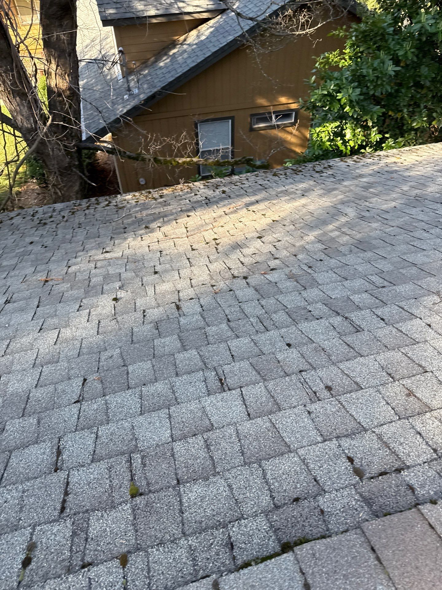 Owens Corning Roofing and REC solar panels by Byers Enterprises 