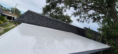 Project in Pinellas Park 33781