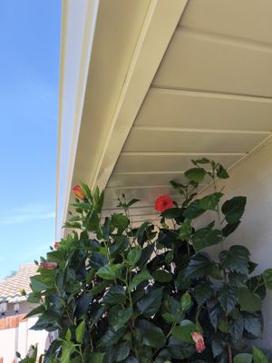 Fascia and Soffit Repair with New Gutters 