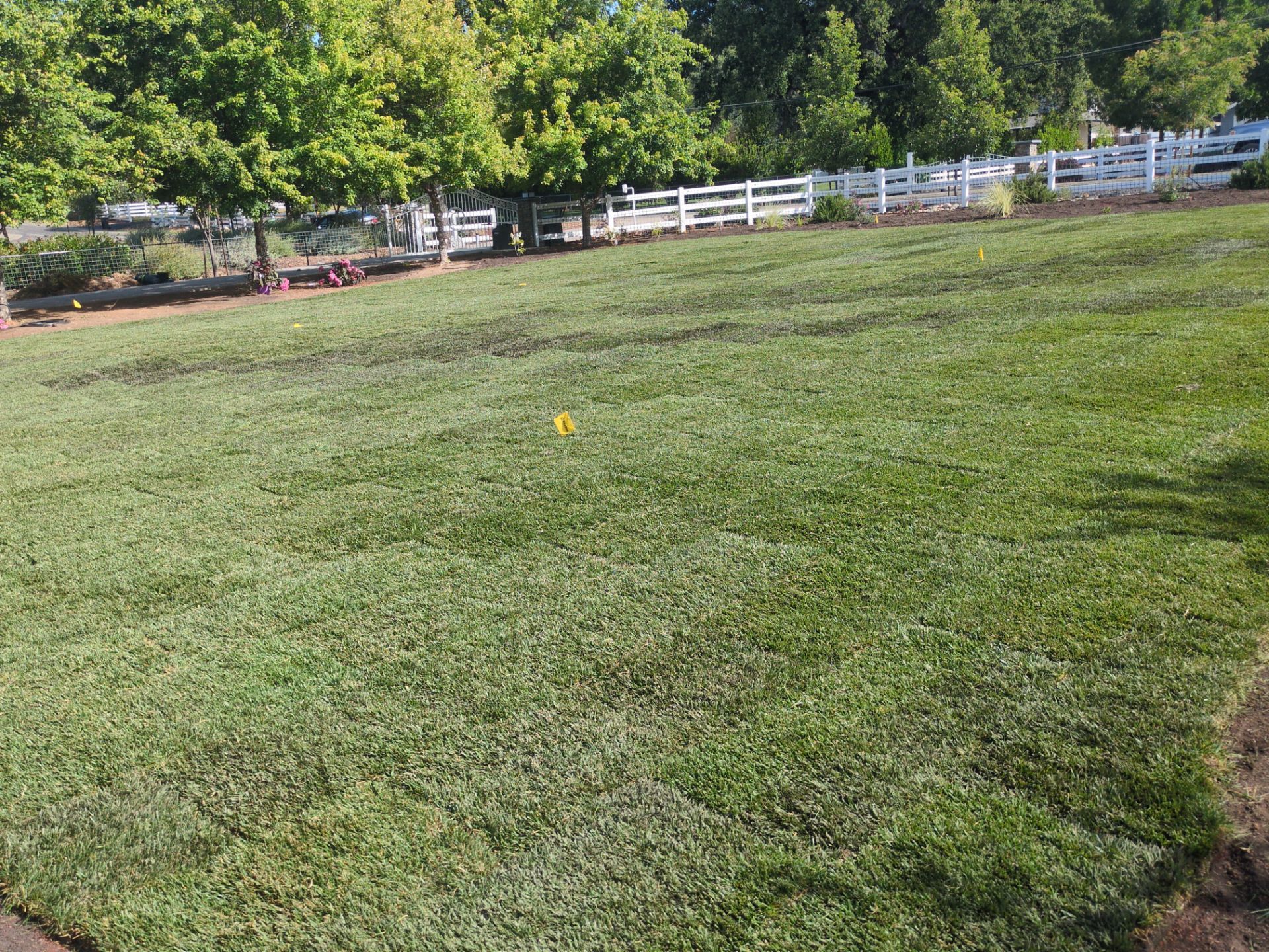 Project in Murphys by A - G Sod Farms