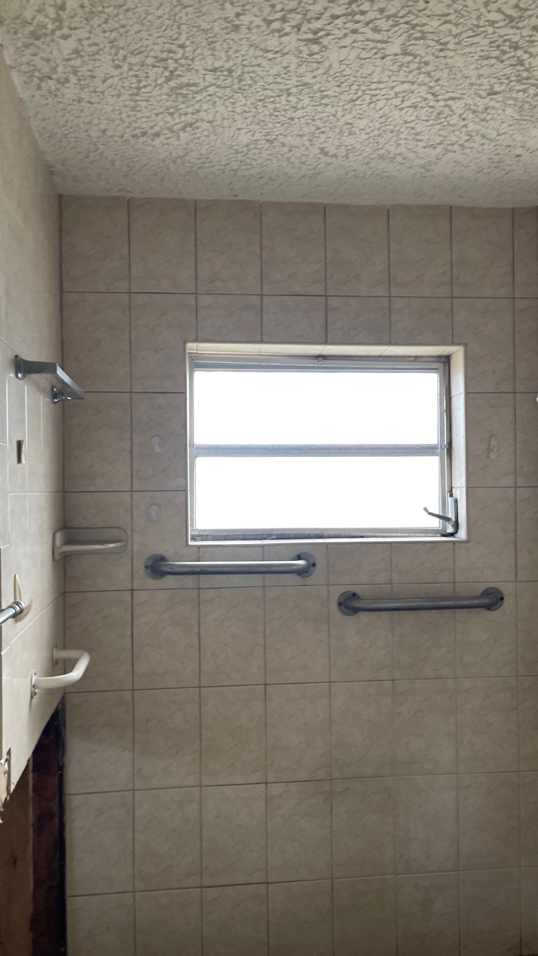 Mold Remediation  by THE RAPID TEAM