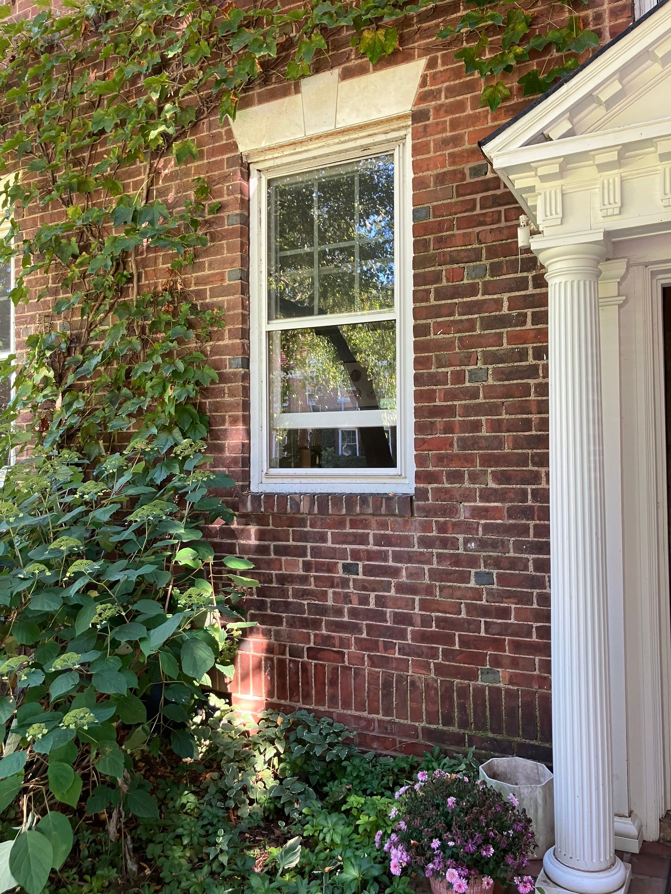 Multi-Window Upgrade for a Brighter, Updated Exterior by DiGiorgi Roofing and Siding Inc