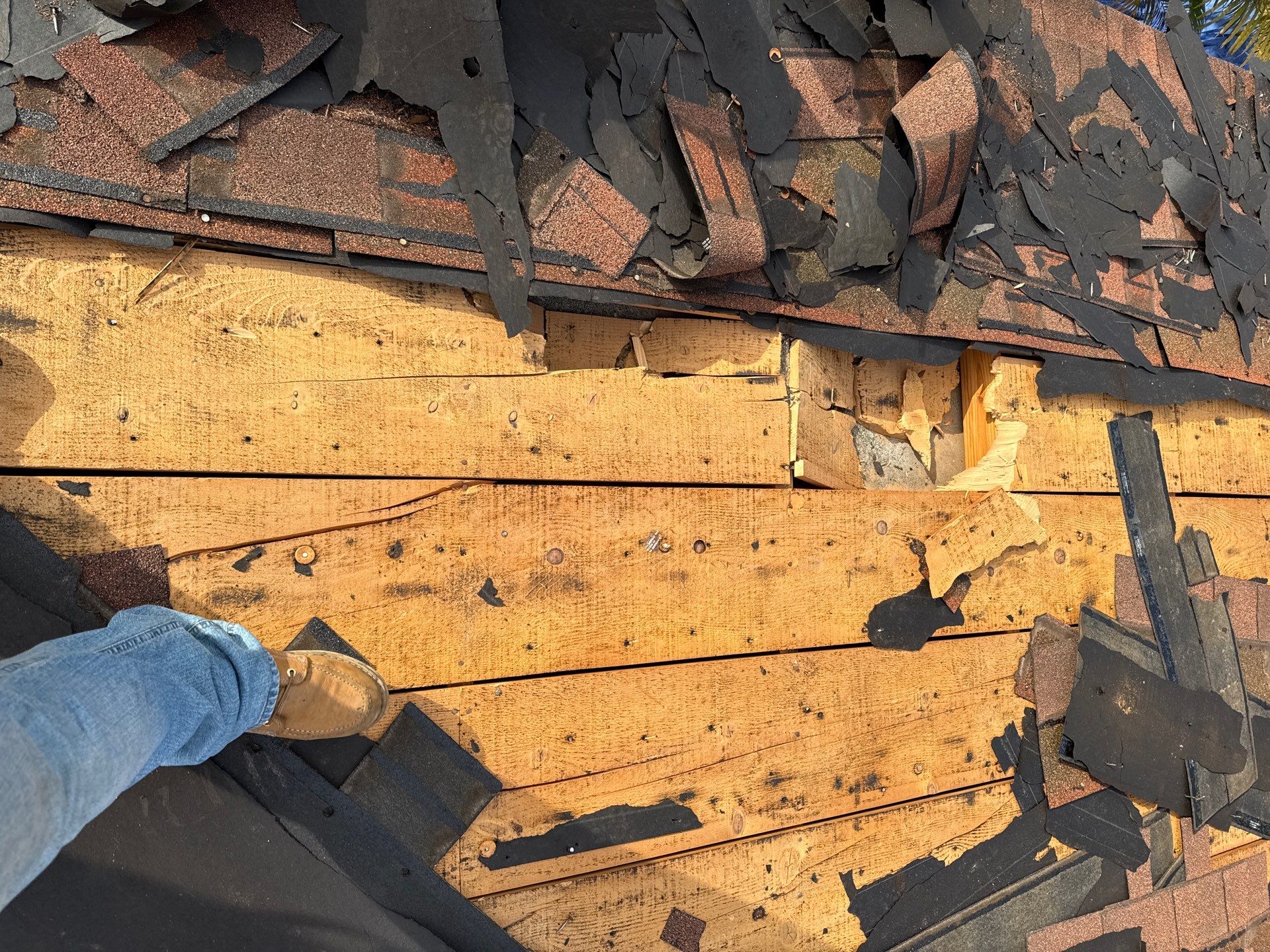 Project in St. Petersburg 33713 by Mitchell Roofing Company LLC