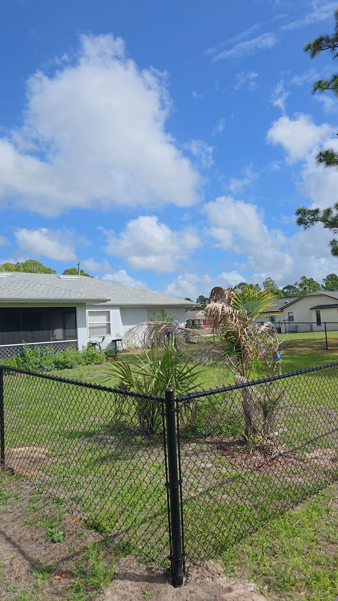 Chain Link Fence in North Port by True Fence LLC