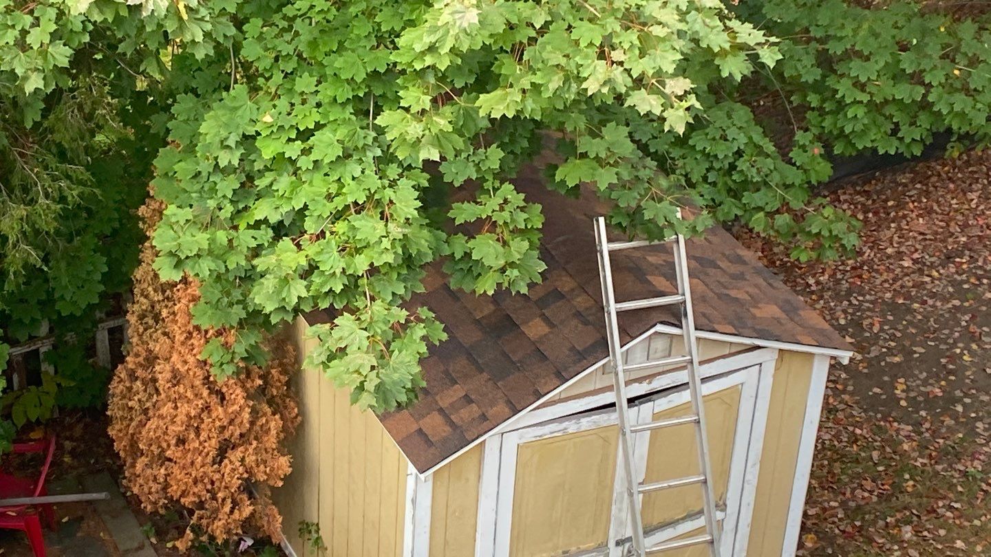 Siding Repair using Certainteed Cedar Impressions by A Plus Exterior