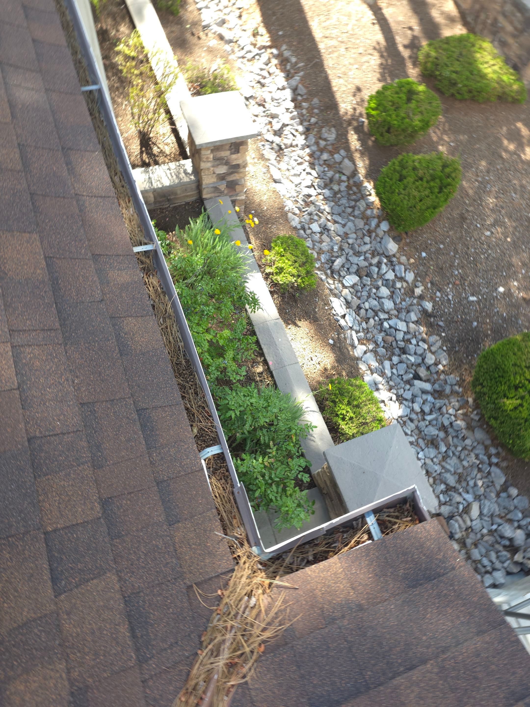 HOA gutter cleaning in Flagstaff, AZ before photo showing full gutters.