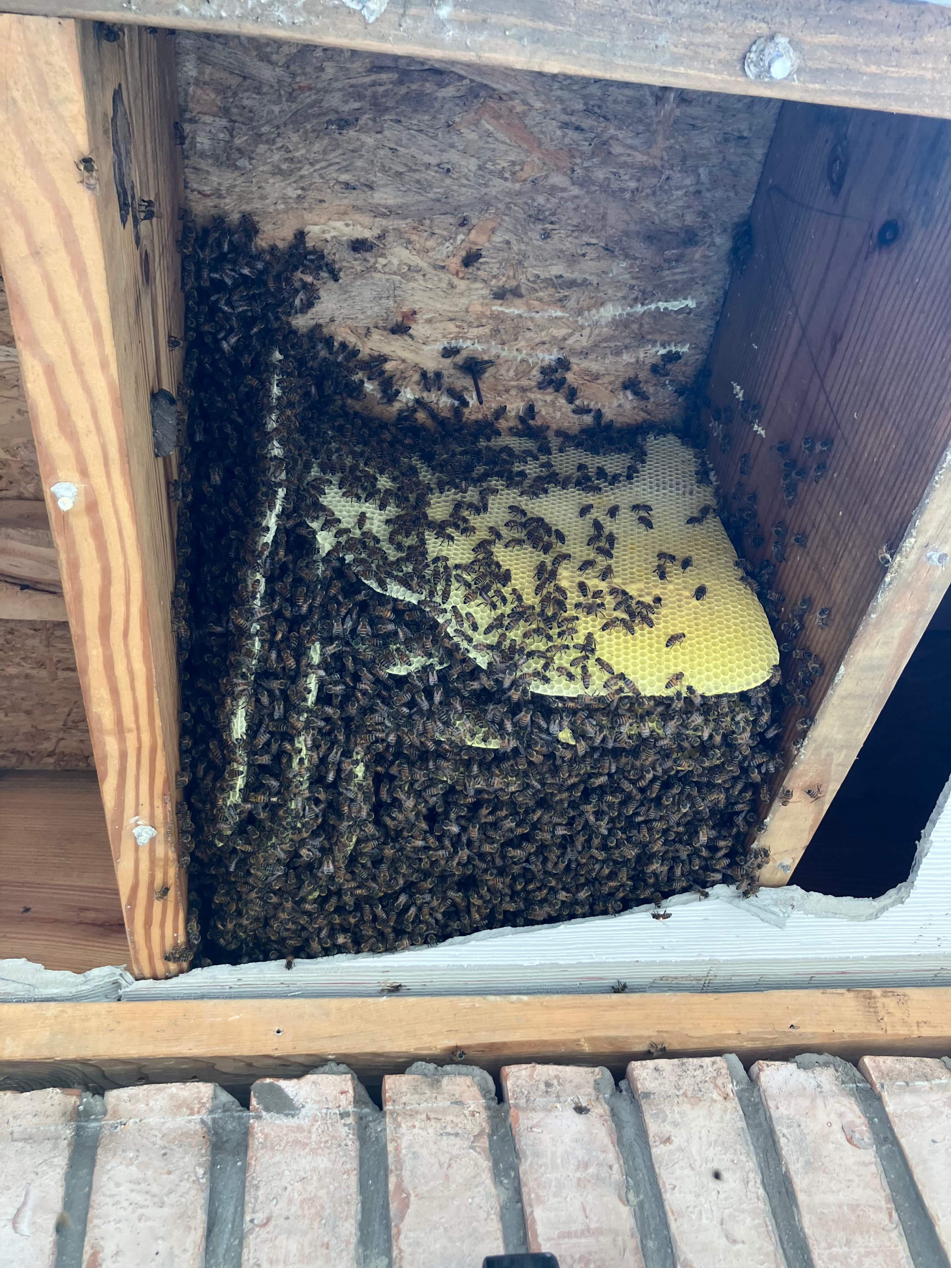 Balcony by Rockwall Honey Bee Company