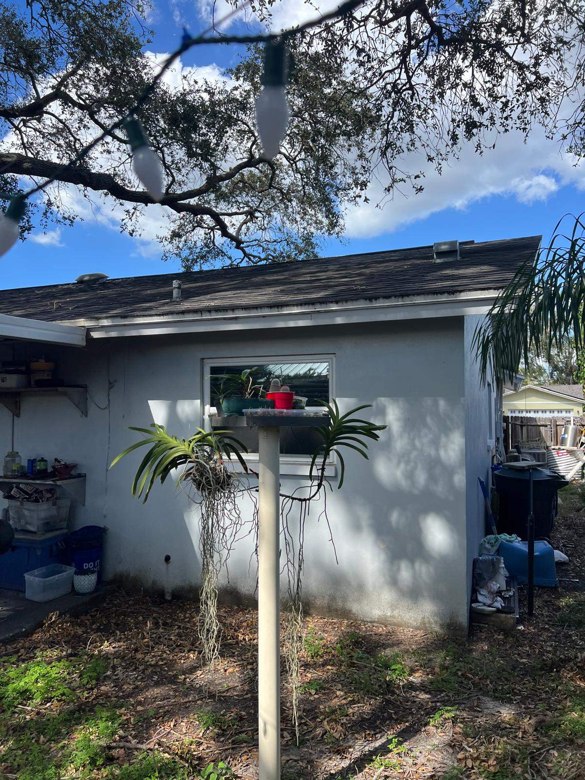 Water Damage Claim in Dunedin by FLAPA & KeyStone