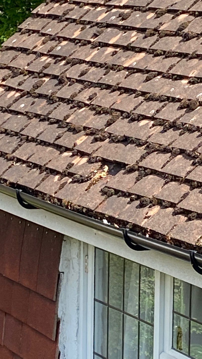 Roof Clean - Moss Removal using Honda 15lpm Low Pressure Washing Machine by Ges Exterior Cleaning ltd