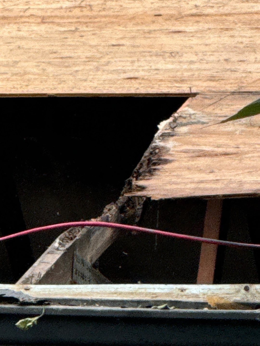 Project in Arlington by Armor Roofing | Exteriors