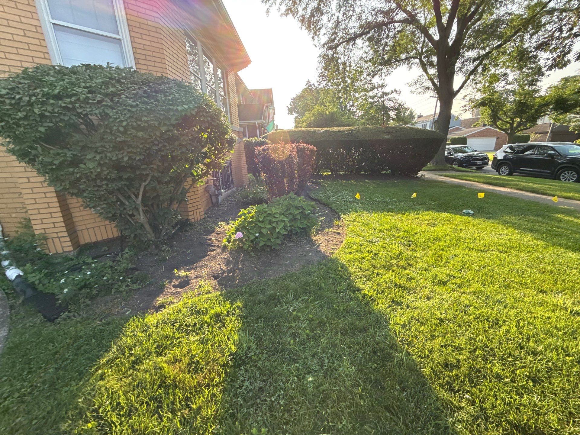 Nancy M. - Park Ridge, IL by A&N