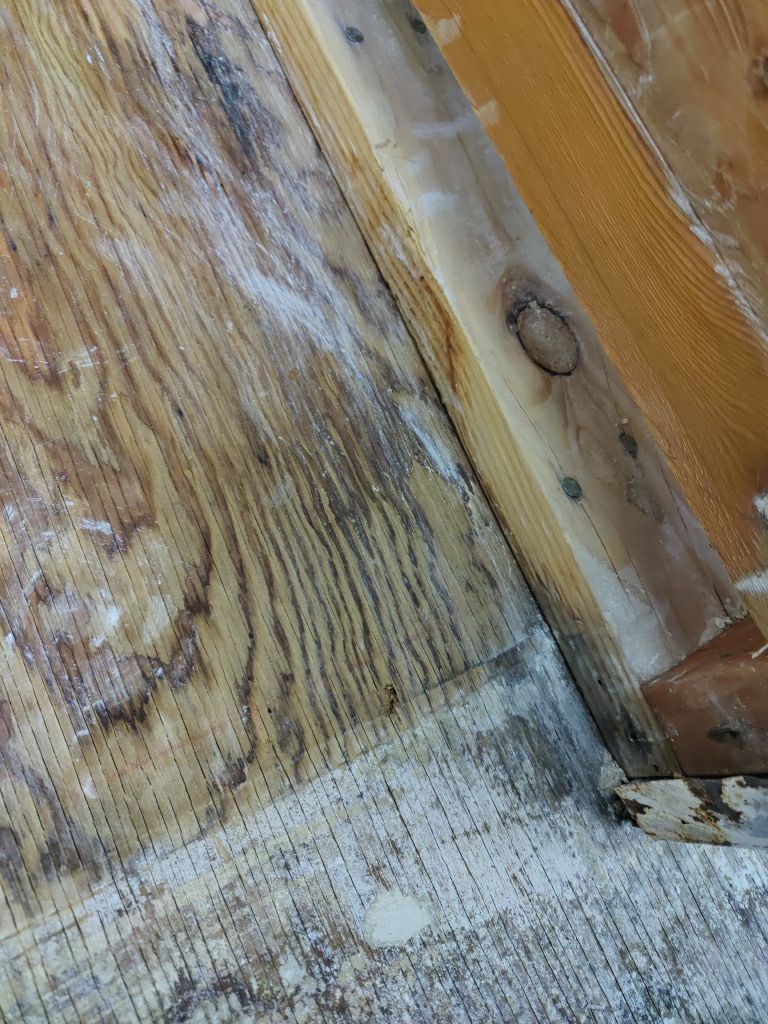 Mold Remediation  by Accountable Home Services