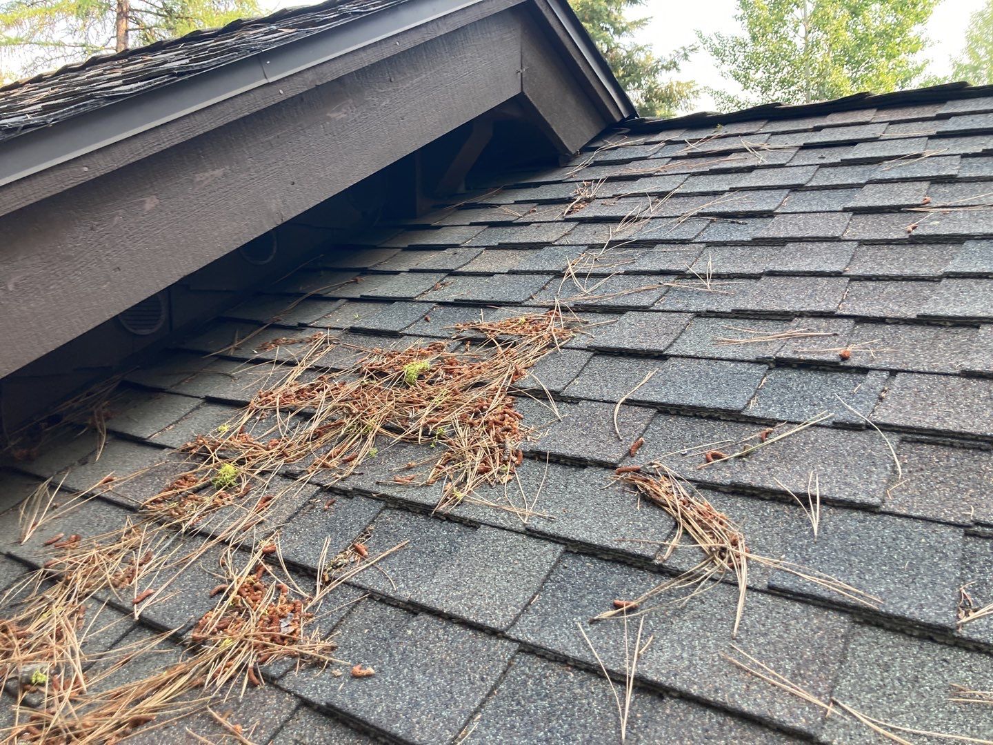 Two story new build gets a CertainTeed Landmark roof in Shenandoah  by ID Roofing LLC