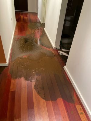 Sewage Backup in Highrise