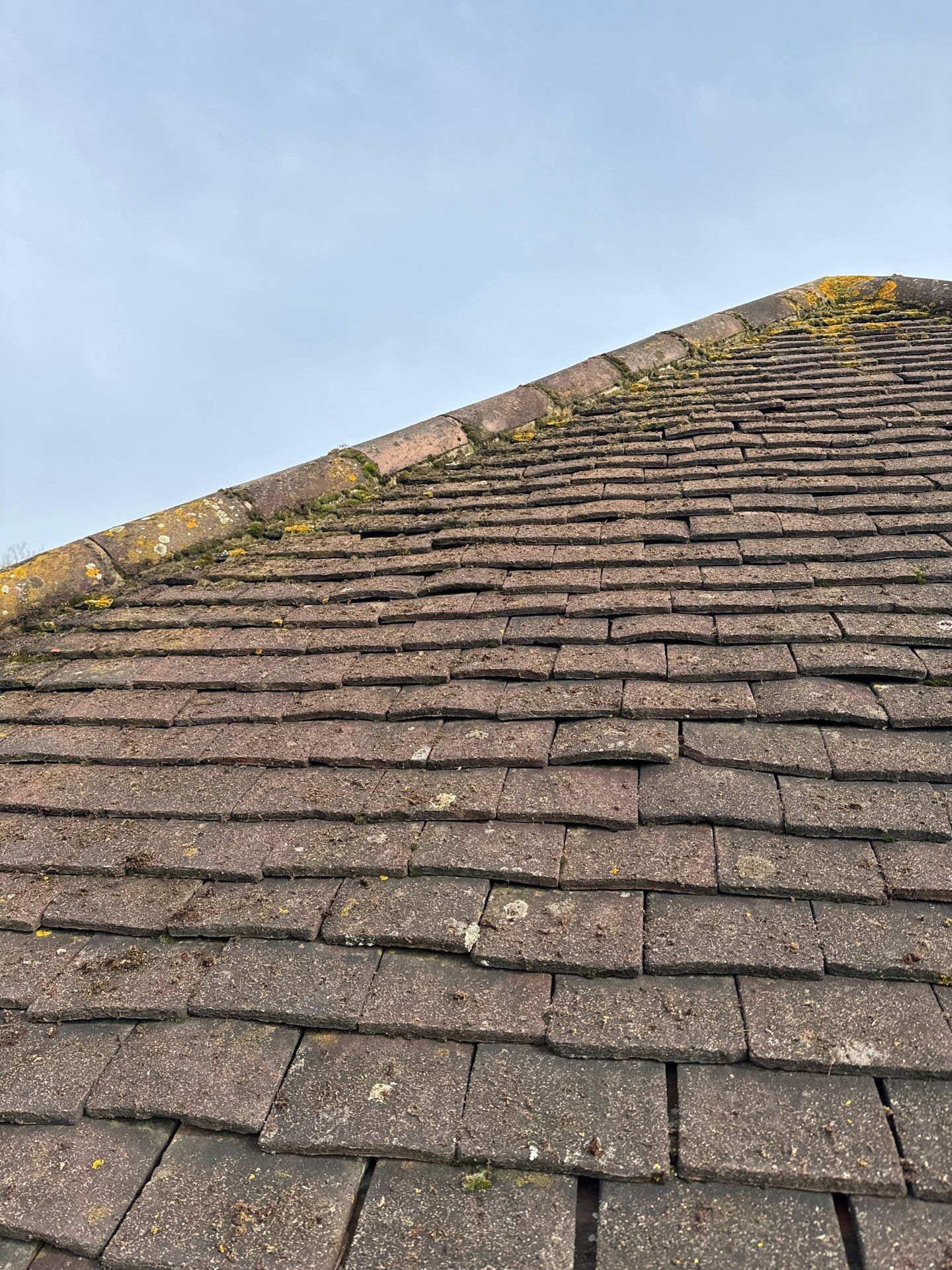 Exterior Clean - Roof - Patio - Driveway using Mosmatic FSC and Biocide by Ges Exterior Cleaning ltd
