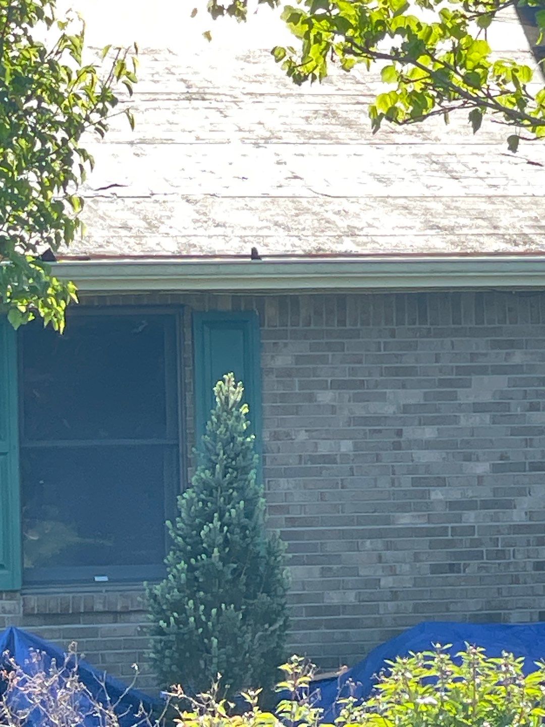 Residential Roofing Installation using Ownes Corning Brownwood Duration by Storm Contracting