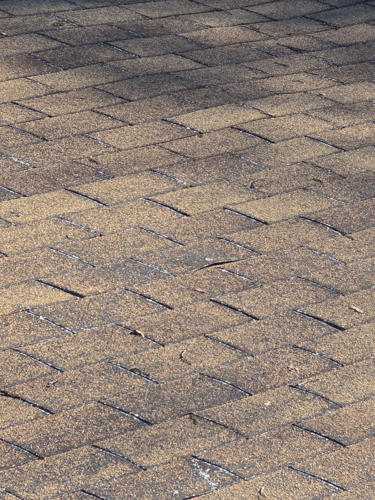 Roof Rejuvenation using Roof Maxx Treatment by Roof Maxx of Folsom