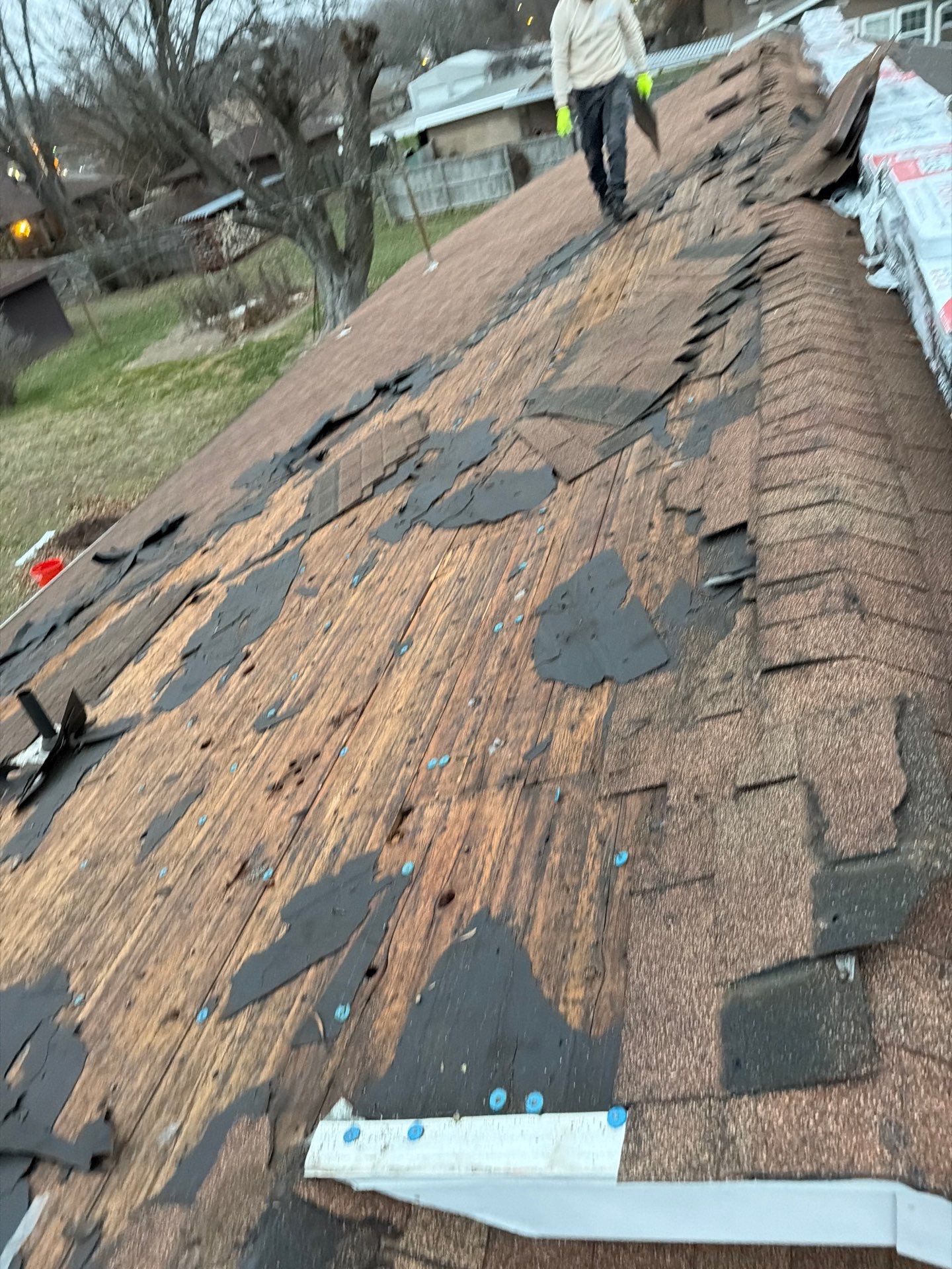 Residential Roofing Install - Atlas Pinnacle Pristine Shingles - Color Morning Harvest  by Titan Commercial & Residential Roofing 