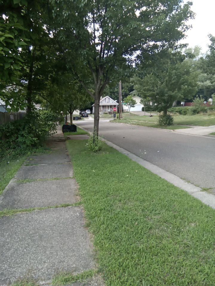 Tree Removal using Tree Removal by Mike Jones & Sons Tree Service LLC 