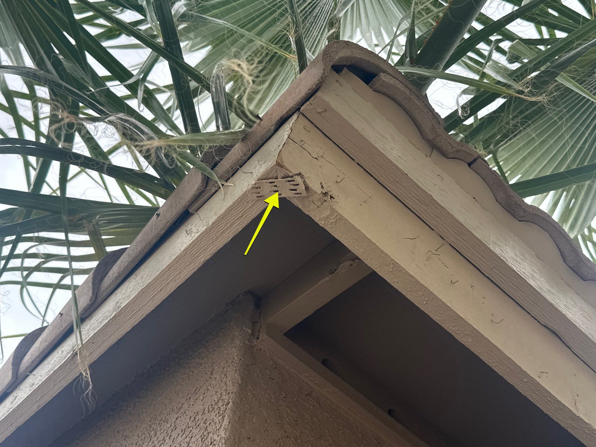 Exterior Painting - Chandler by Crash of Rhinos Painting & Garage Floors