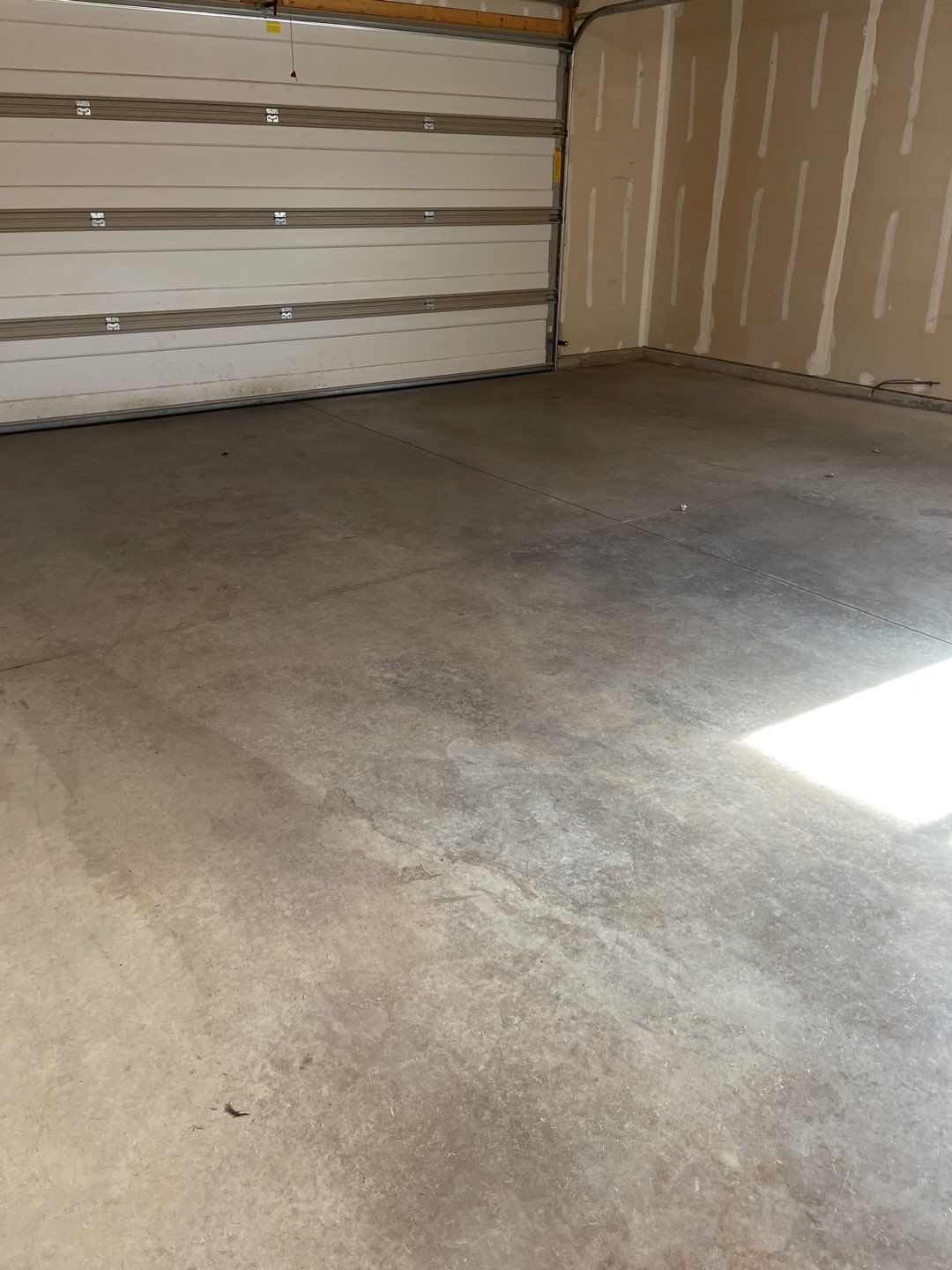 Garage using Domino  by Select Painting, Coatings & Garage Cabinets