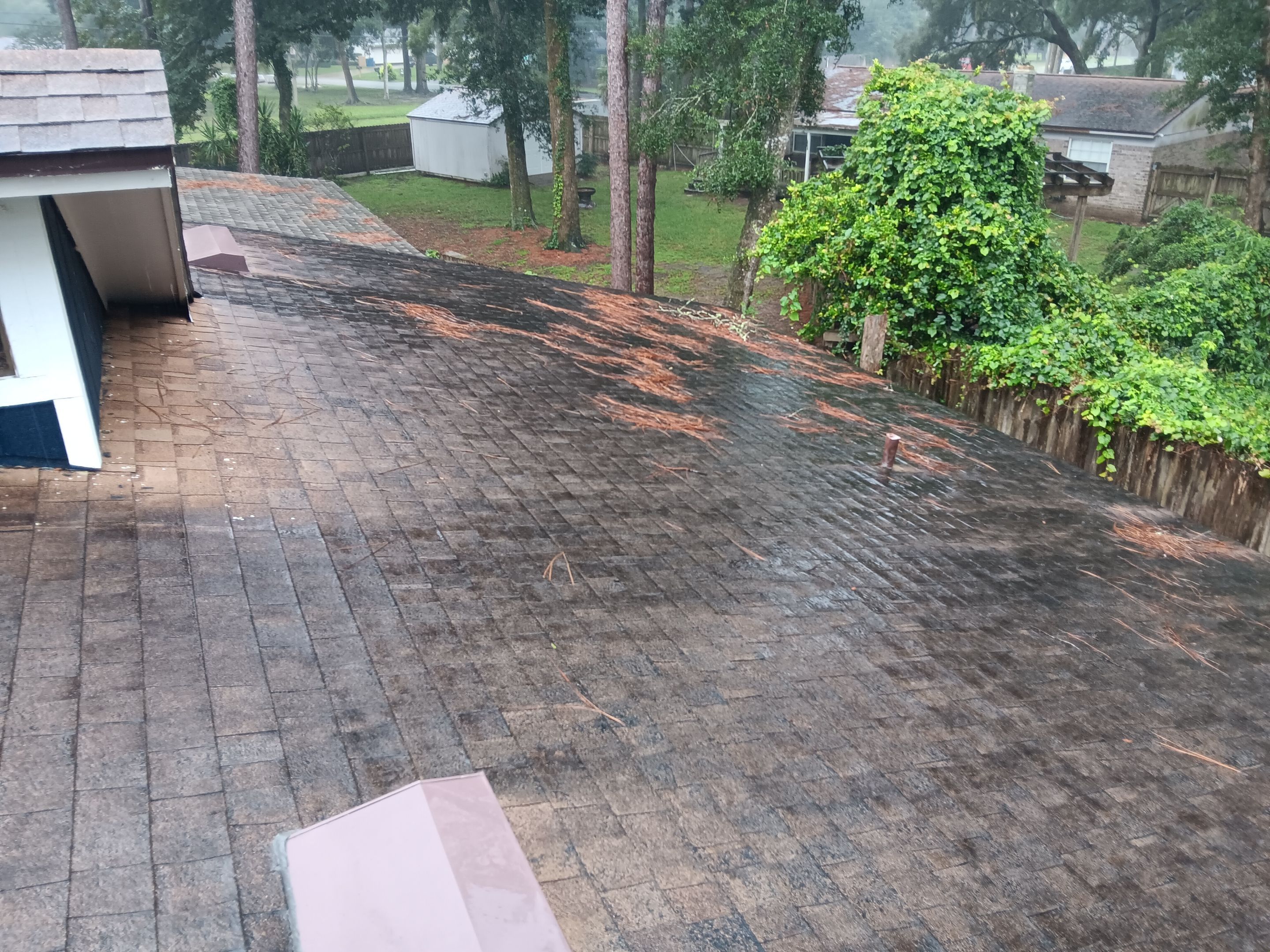 Shingle -> Shingle by Prime Roofing