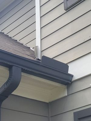 Project in Gainesville