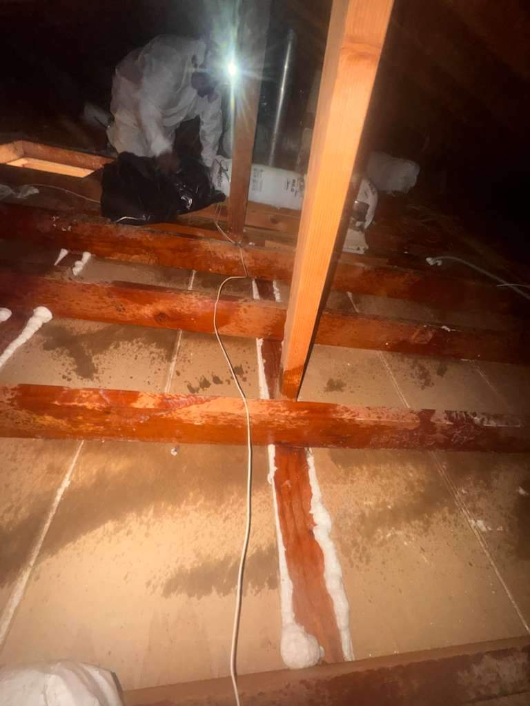 Project by Advanced Attic Solutions by Advanced Attic Solutions