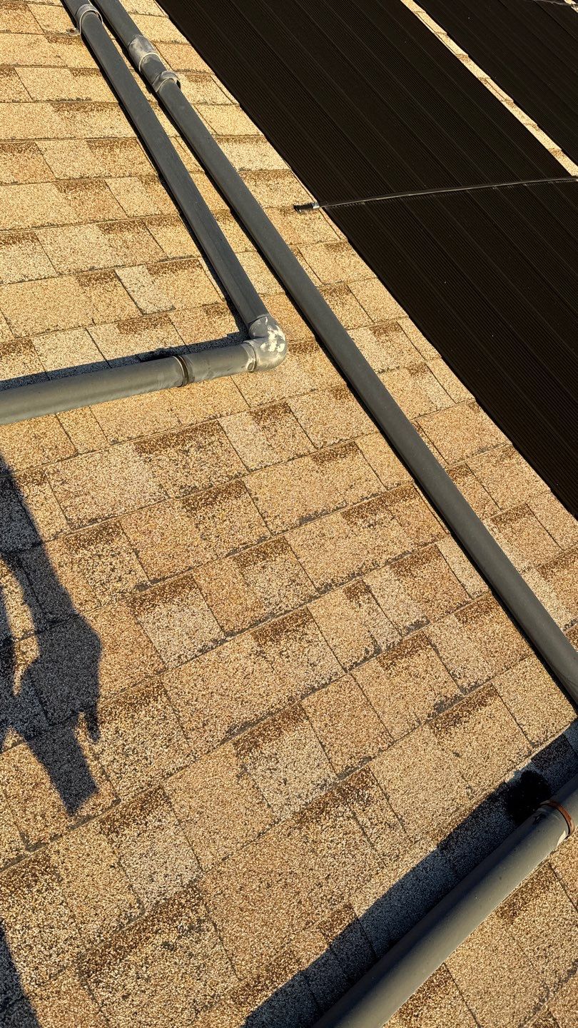 Project in Galt  by NuLead Construction Inc