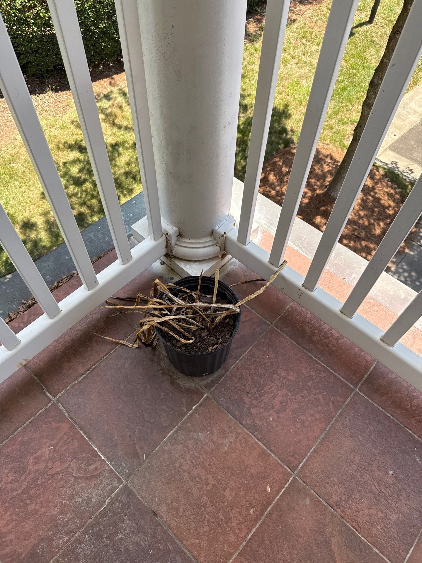 Project in Charlotte by Badger Hauling