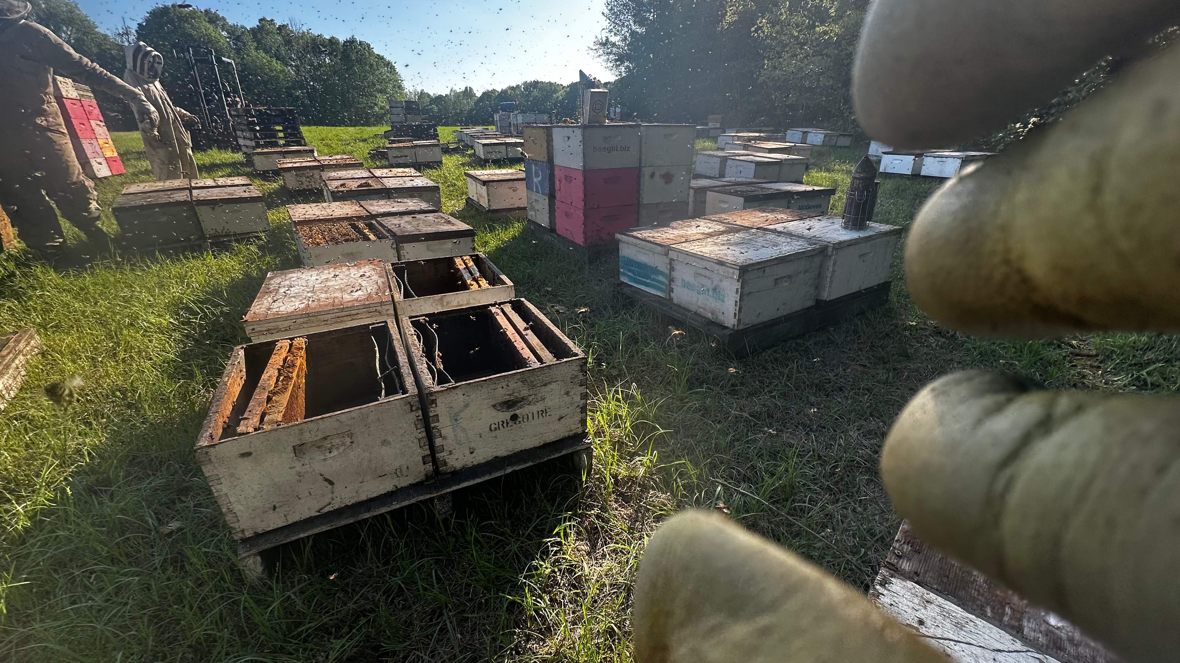 Traylor's Hay Meadow Apiary by Rockwall Honey Bee Company